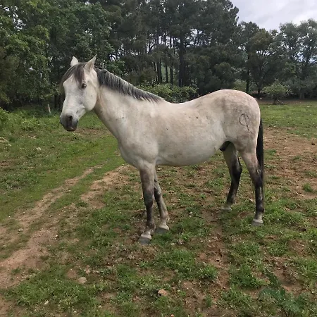 Robles Casa vacanze *
