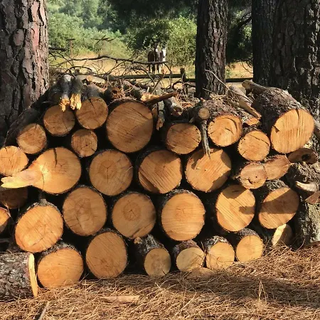 度假居 Robles 阿塞沃