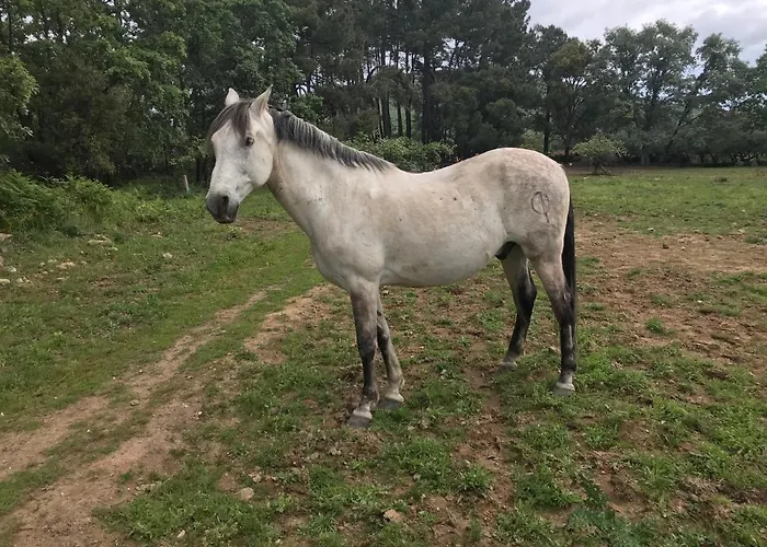 Robles Сasa de vacaciones *