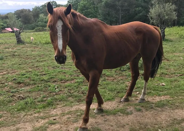 Robles Сasa de vacaciones *