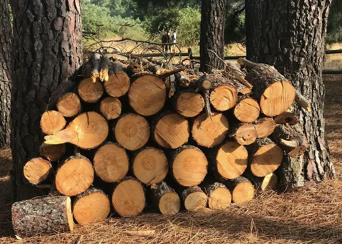 Сasa de vacaciones Robles Acebo